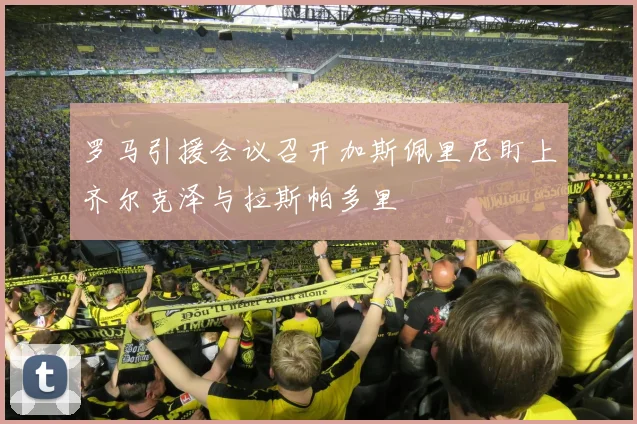 罗马引援会议召开加斯佩里尼盯上齐尔克泽与拉斯帕多里